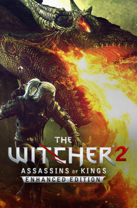 The Witcher 2 Assassins of Kings Free Download Unfitgirl