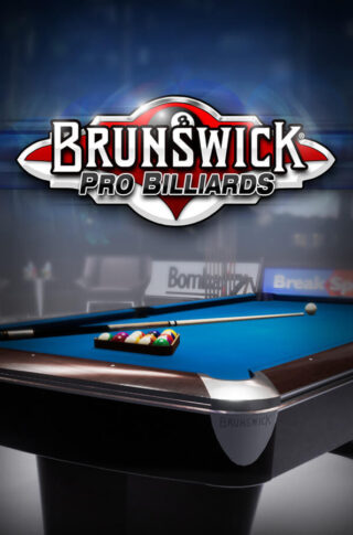 Brunswick Pro Billiards Free Download Unfitgirl
